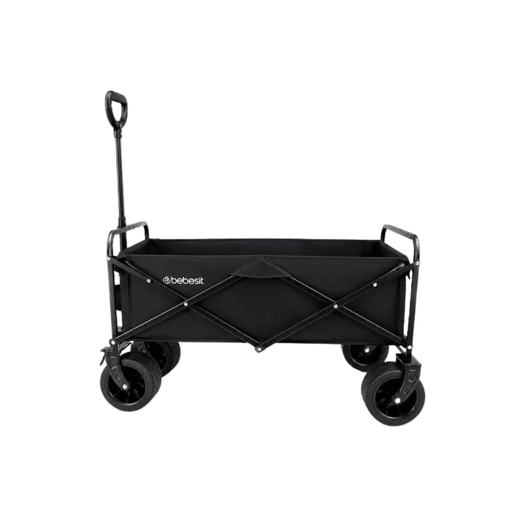 Coche Gemelar Wagon Move Bebesit
